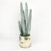 Potted & Table Top Trees>Christmas World Cactus In White Ceramic Pot (60Cm)