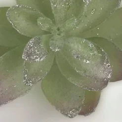 Pick & Berries></noscript>Christmas World Cactus Succulent Clip Green/Silver Lrg