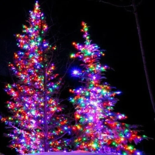 Fairy Lights>Christmas World Led Fairy Lights Multi (10M)