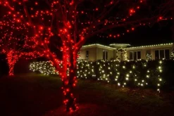 Fairy Lights></noscript>Christmas World Led Fairy Lights Red (20M)