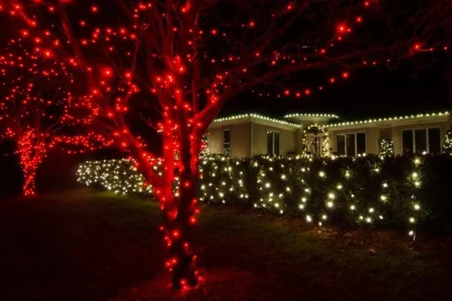Fairy Lights>Christmas World Led Fairy Lights Red (20M)