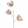 Pretty In Pink & Rose Gold>Christmas World Rose Gold Queen Anne'S Lace Stem (65Cm)