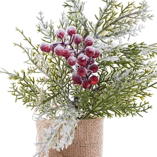Potted & Table Top Trees>Christmas World Snow Capped Tree With Burlap (31Cm) - Berries