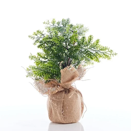 Potted & Table Top Trees>Christmas World Snow Capped Tree With Burlap (31Cm) - Berries